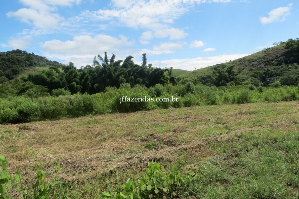 Fazenda em Piau/MG com 156,47.93 hectares Fazenda em Piau/MG com 156,47.93 hectares