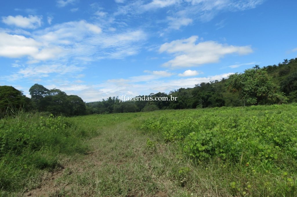 Fazenda em Piau/MG com 156,47.93 hectares Fazenda em Piau/MG com 156,47.93 hectares