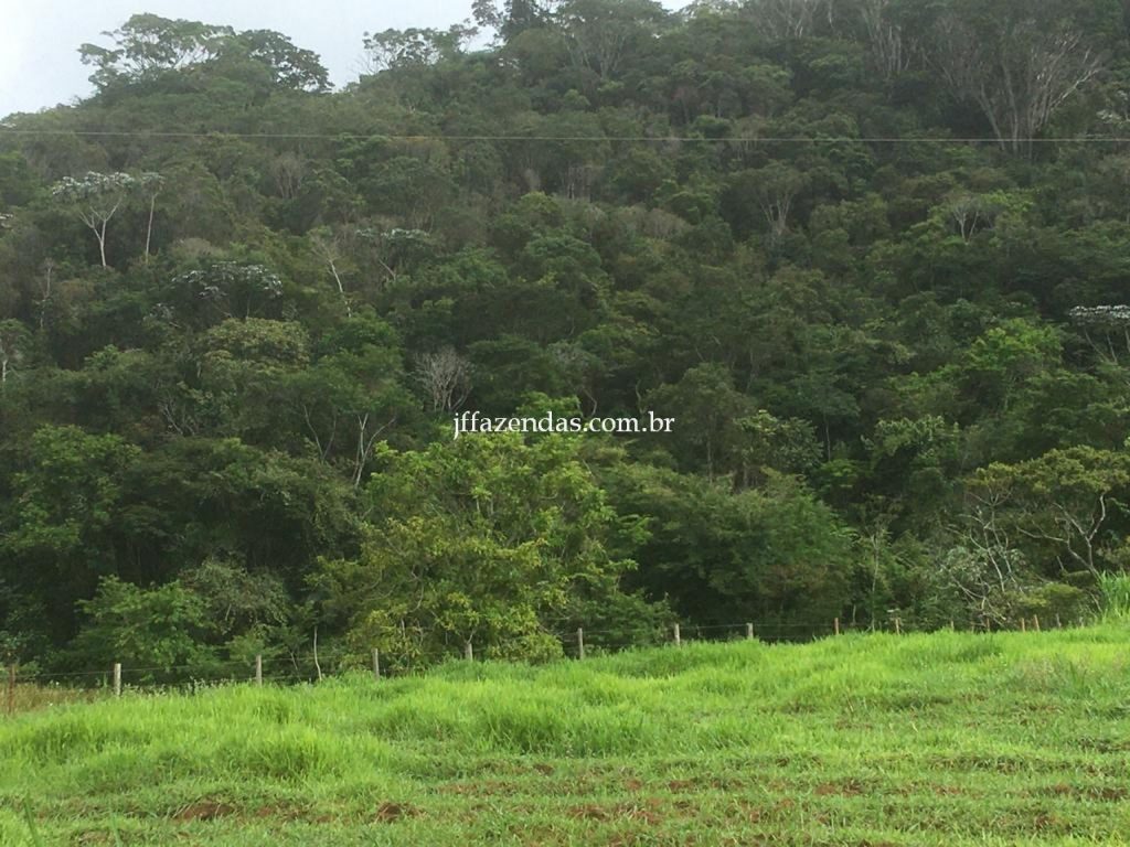 Fazenda em Mar de Espanha/MG – 87 hectares Fazenda em Mar de Espanha/MG – 87 hectares