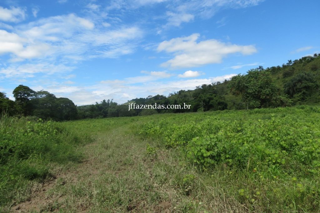 Fazenda em Piau/MG com 156,47.93 hectares Fazenda em Piau/MG com 156,47.93 hectares