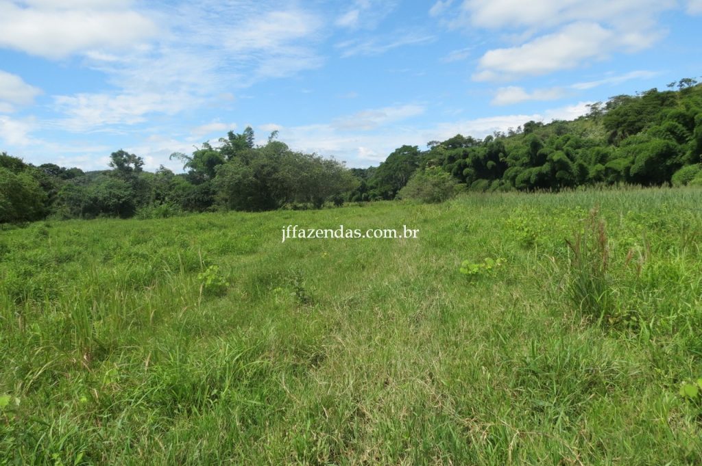 Fazenda em Piau/MG com 156,47.93 hectares Fazenda em Piau/MG com 156,47.93 hectares