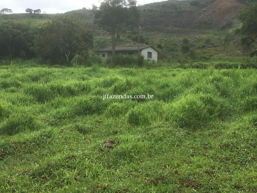 Fazenda em Mar de Espanha/MG – 87 hectares Fazenda em Mar de Espanha/MG – 87 hectares