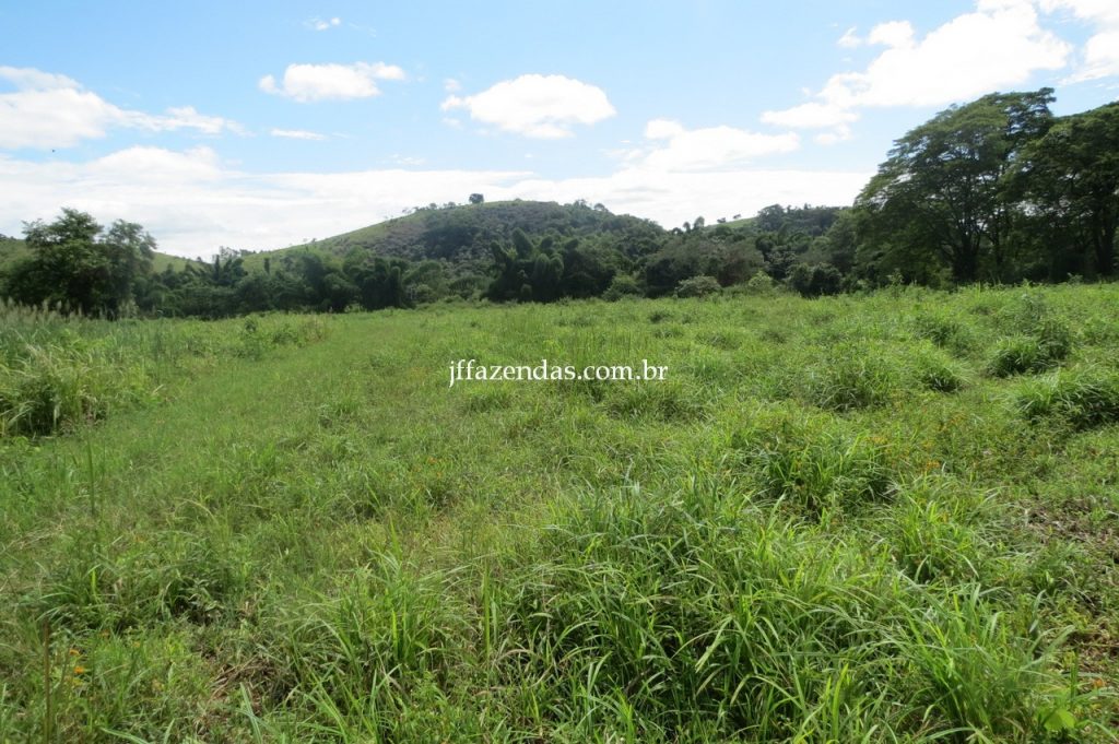 Fazenda em Piau/MG com 156,47.93 hectares Fazenda em Piau/MG com 156,47.93 hectares
