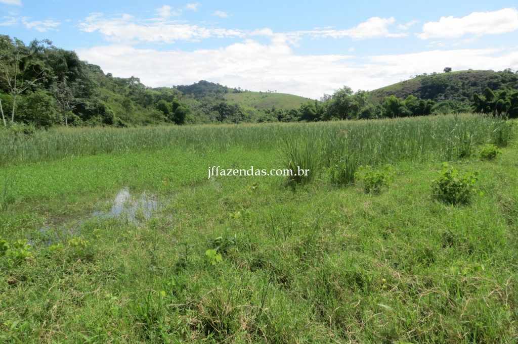 Fazenda em Piau/MG com 156,47.93 hectares Fazenda em Piau/MG com 156,47.93 hectares