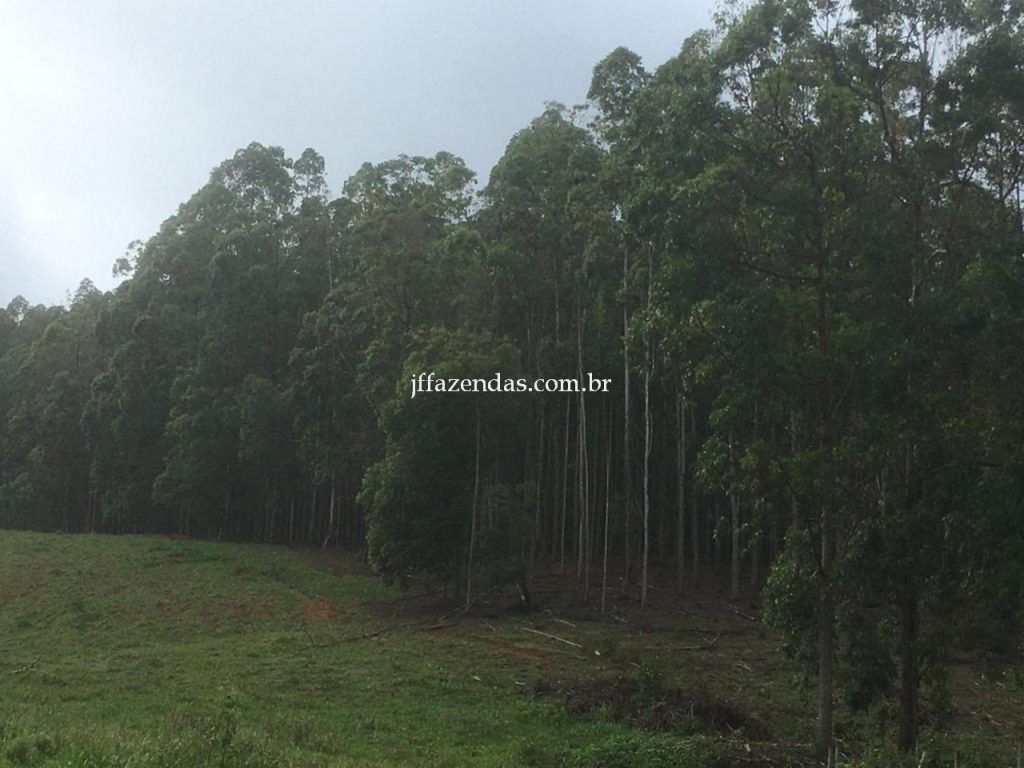 Fazenda em Mar de Espanha/MG – 87 hectares Fazenda em Mar de Espanha/MG – 87 hectares