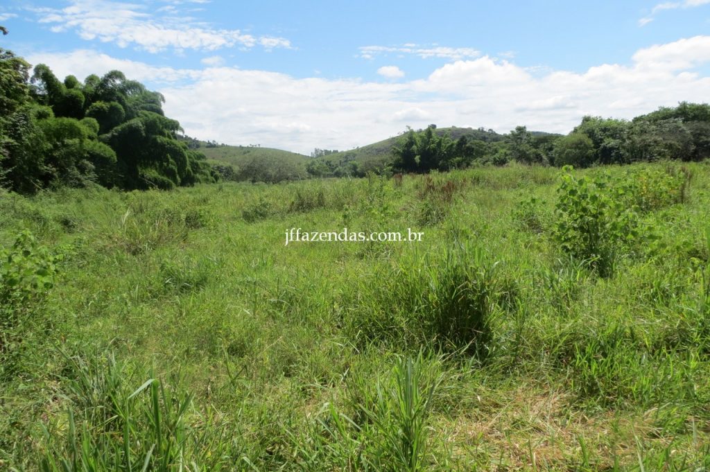 Fazenda em Piau/MG com 156,47.93 hectares Fazenda em Piau/MG com 156,47.93 hectares