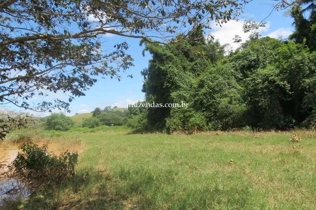 Fazenda em Piau/MG com 156,47.93 hectares Fazenda em Piau/MG com 156,47.93 hectares
