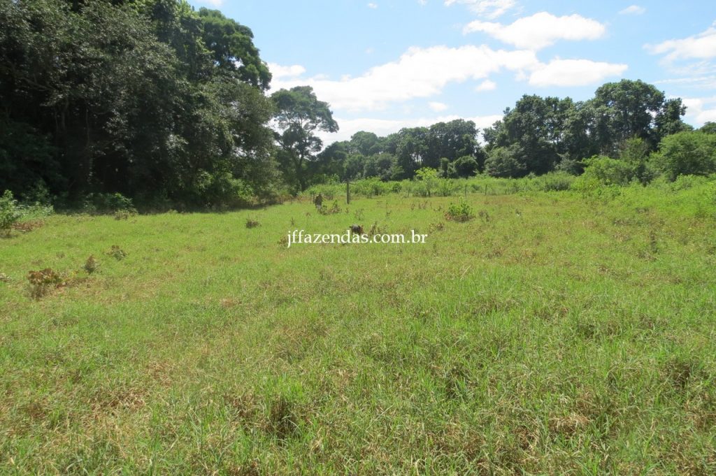 Fazenda em Piau/MG com 156,47.93 hectares Fazenda em Piau/MG com 156,47.93 hectares