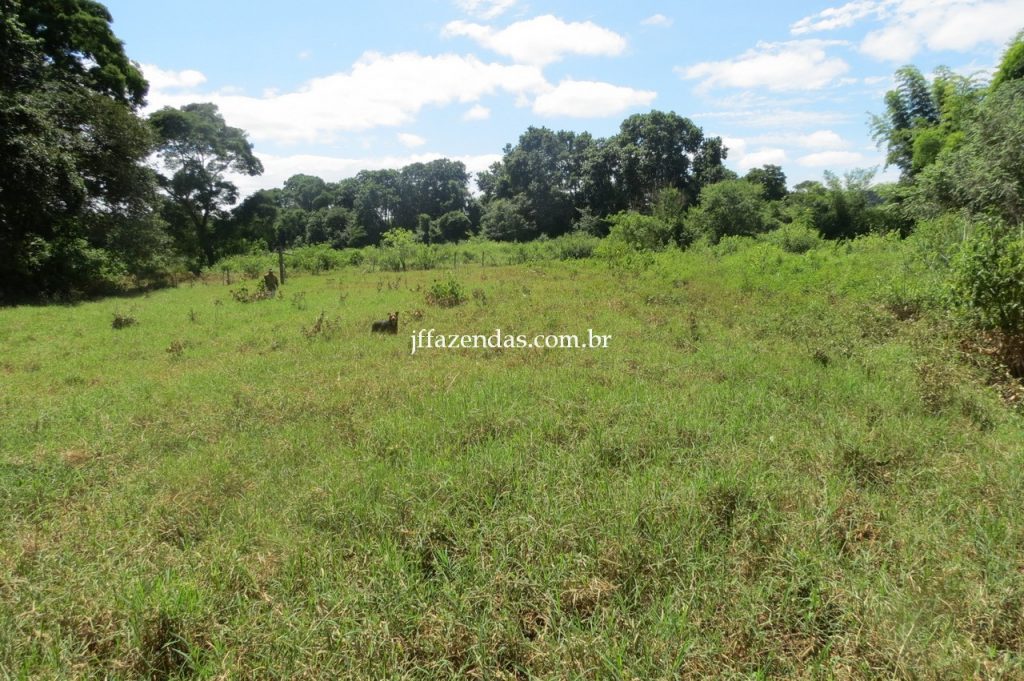 Fazenda em Piau/MG com 156,47.93 hectares Fazenda em Piau/MG com 156,47.93 hectares