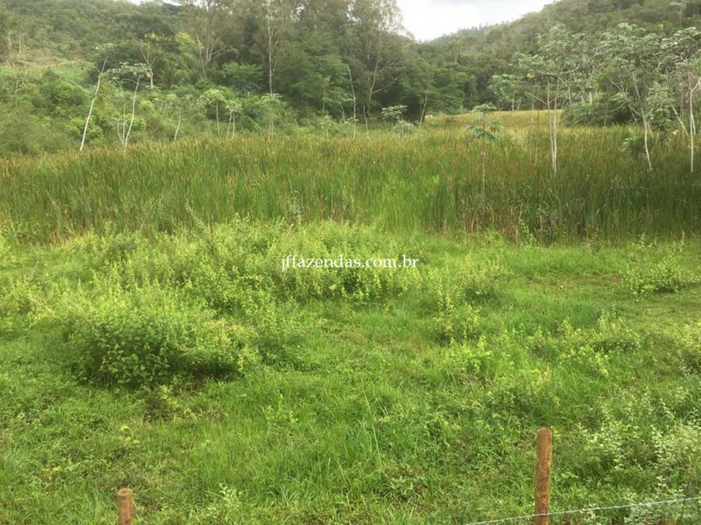 Fazenda em Mar de Espanha/MG – 87 hectares Fazenda em Mar de Espanha/MG – 87 hectares