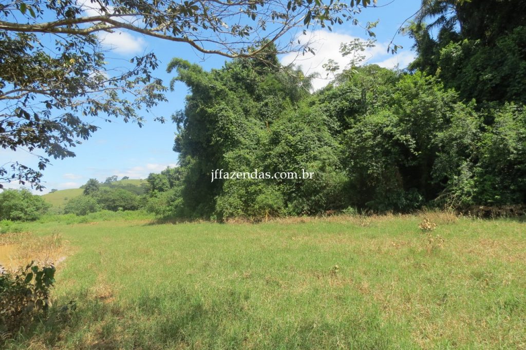 Fazenda em Piau/MG com 156,47.93 hectares Fazenda em Piau/MG com 156,47.93 hectares