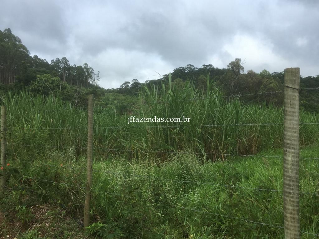 Fazenda em Mar de Espanha/MG – 87 hectares Fazenda em Mar de Espanha/MG – 87 hectares