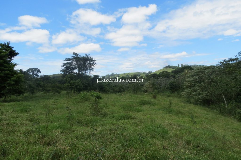 Fazenda em Piau/MG com 156,47.93 hectares Fazenda em Piau/MG com 156,47.93 hectares