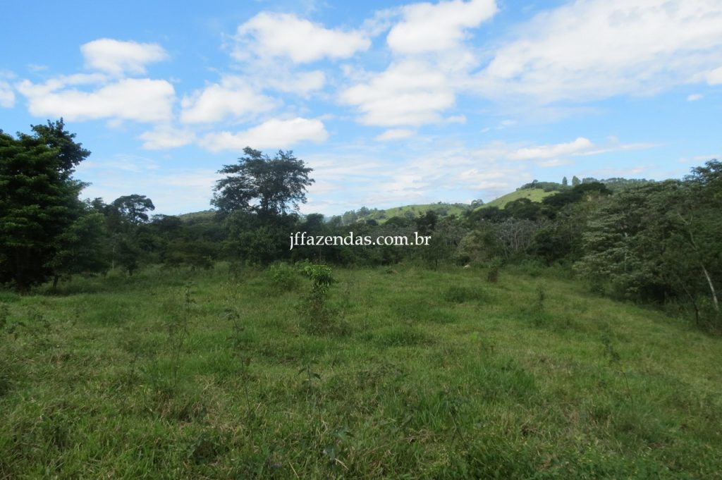 Fazenda em Piau/MG com 156,47.93 hectares Fazenda em Piau/MG com 156,47.93 hectares