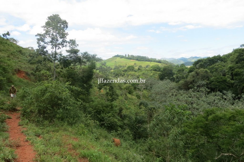 Fazenda em Piau/MG com 156,47.93 hectares Fazenda em Piau/MG com 156,47.93 hectares