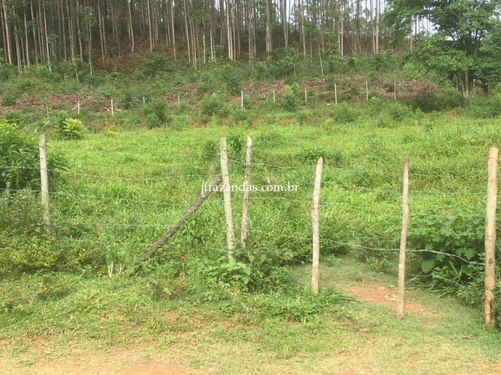 Fazenda em Mar de Espanha/MG – 87 hectares Fazenda em Mar de Espanha/MG – 87 hectares