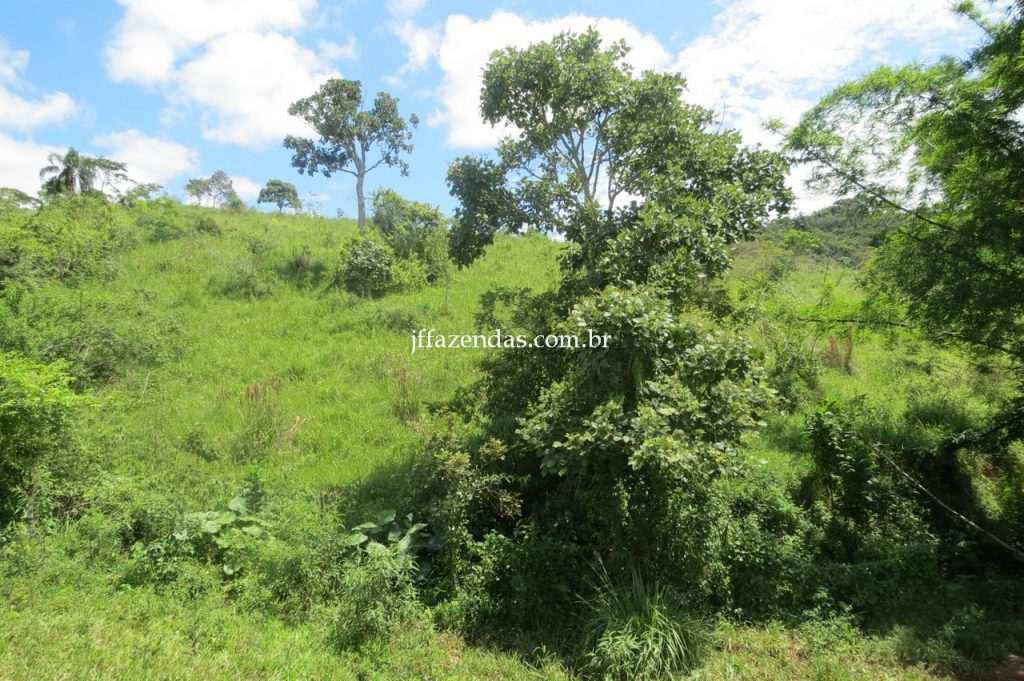 Fazenda em Piau/MG com 156,47.93 hectares Fazenda em Piau/MG com 156,47.93 hectares