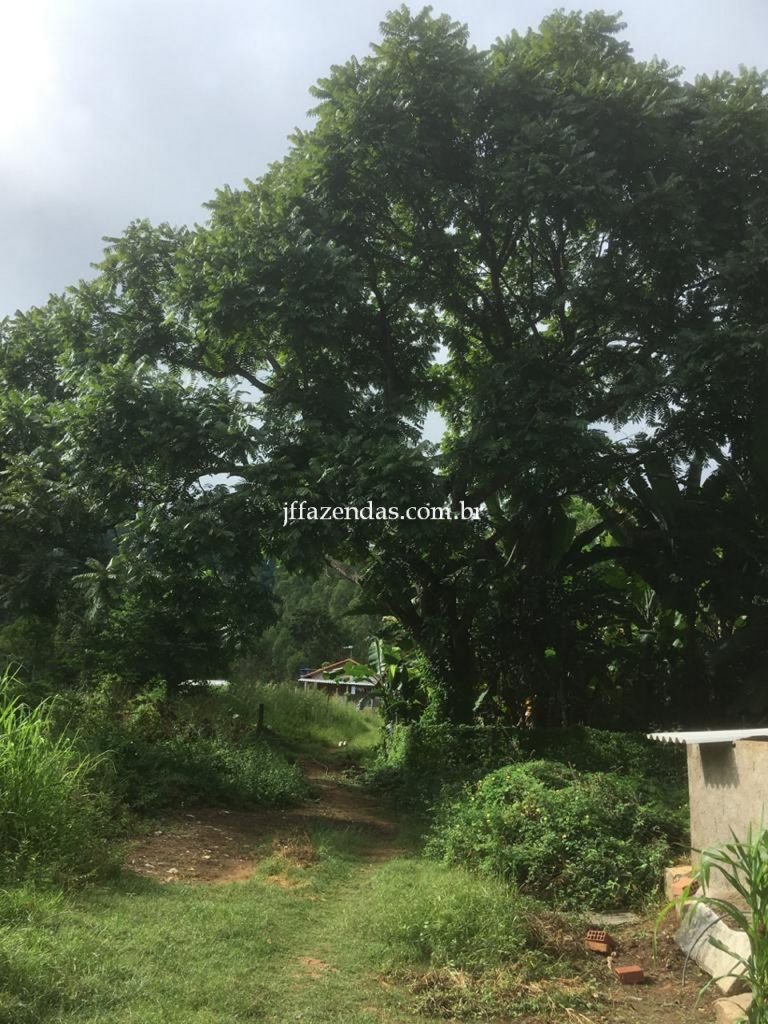 Fazenda em Mar de Espanha/MG – 87 hectares Fazenda em Mar de Espanha/MG – 87 hectares