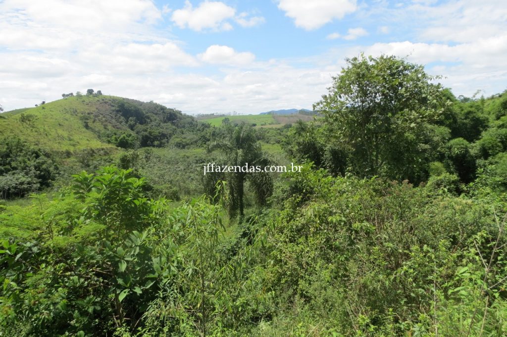Fazenda em Piau/MG com 156,47.93 hectares Fazenda em Piau/MG com 156,47.93 hectares