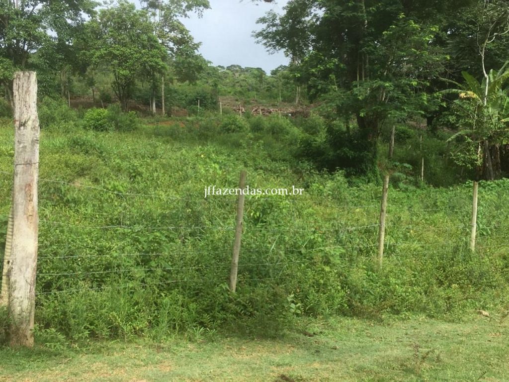 Fazenda em Mar de Espanha/MG – 87 hectares Fazenda em Mar de Espanha/MG – 87 hectares