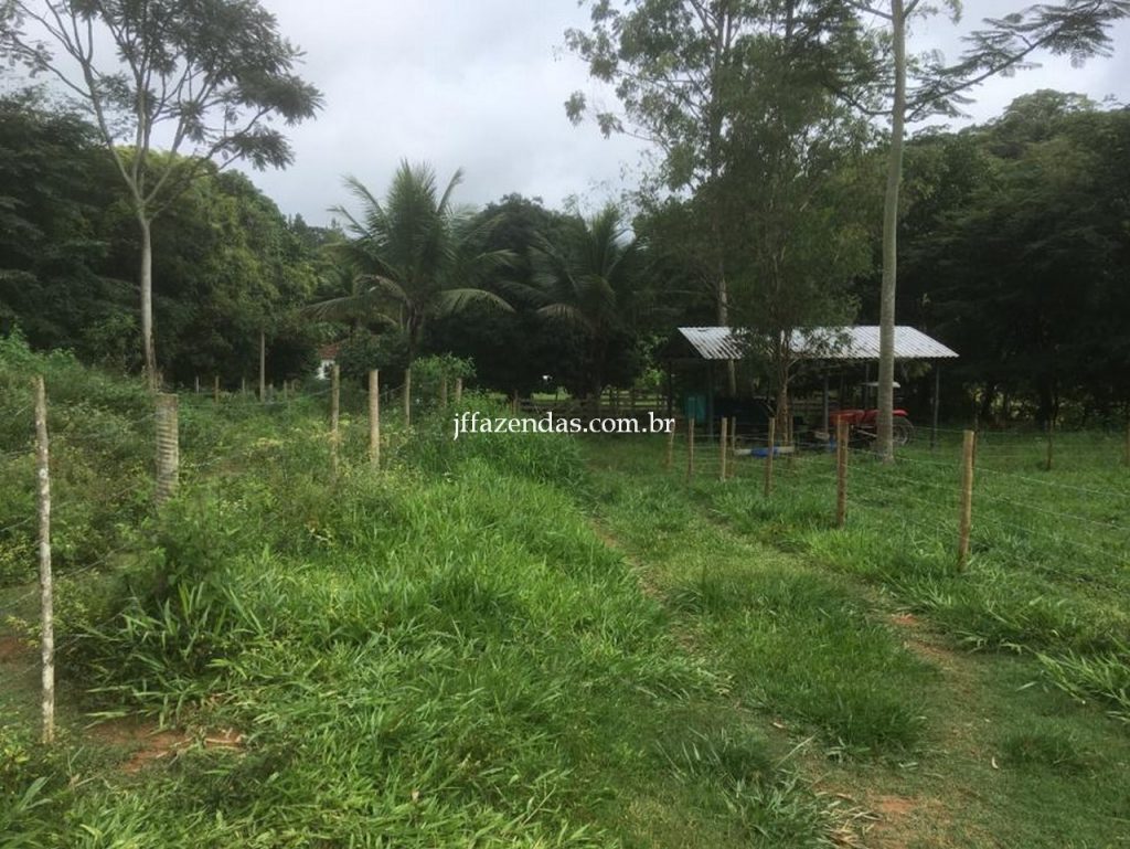 Fazenda em Mar de Espanha/MG – 87 hectares Fazenda em Mar de Espanha/MG – 87 hectares