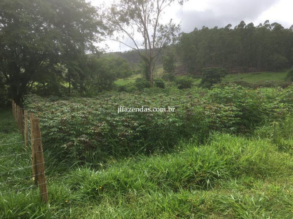 Fazenda em Mar de Espanha/MG – 87 hectares Fazenda em Mar de Espanha/MG – 87 hectares