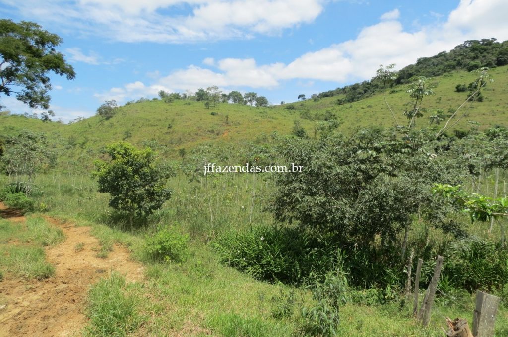 Fazenda em Piau/MG com 156,47.93 hectares Fazenda em Piau/MG com 156,47.93 hectares