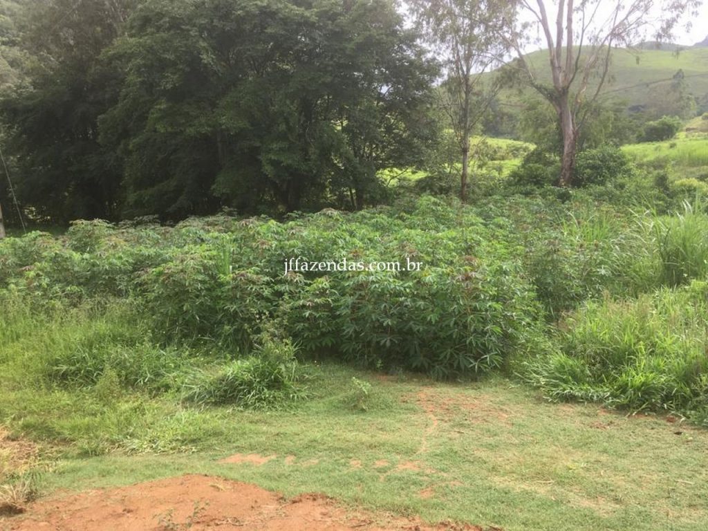 Fazenda em Mar de Espanha/MG – 87 hectares Fazenda em Mar de Espanha/MG – 87 hectares