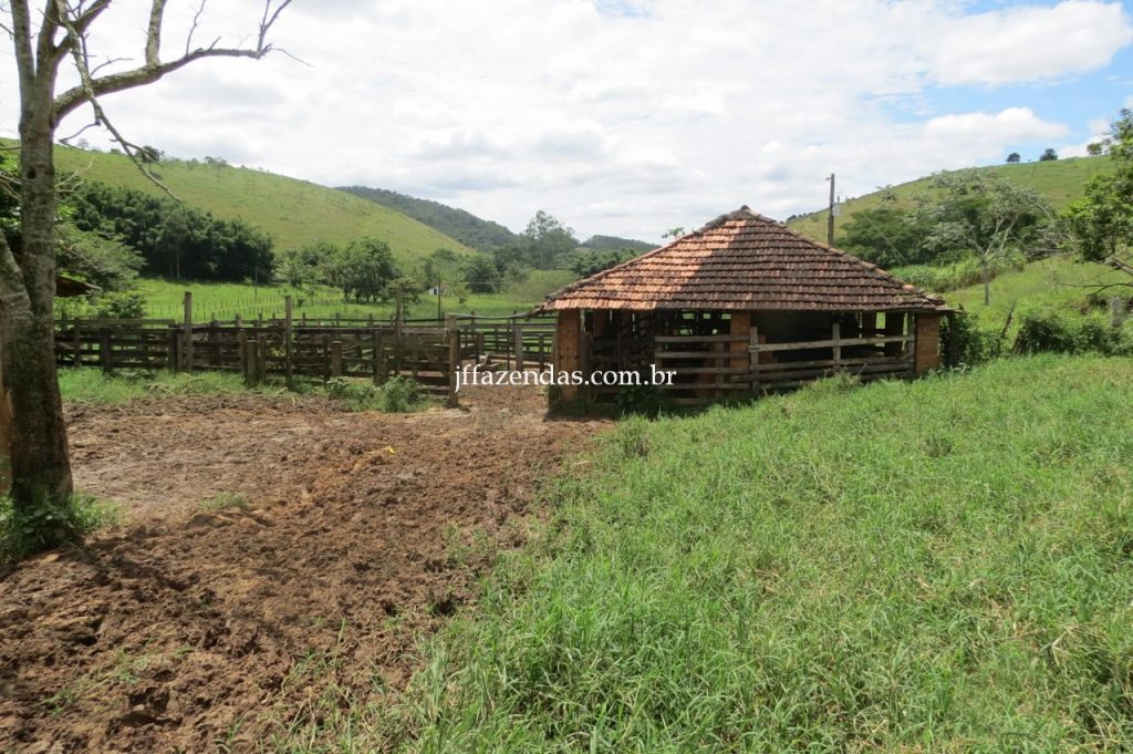 Fazenda em Piau/MG com 156,47.93 hectares Fazenda em Piau/MG com 156,47.93 hectares