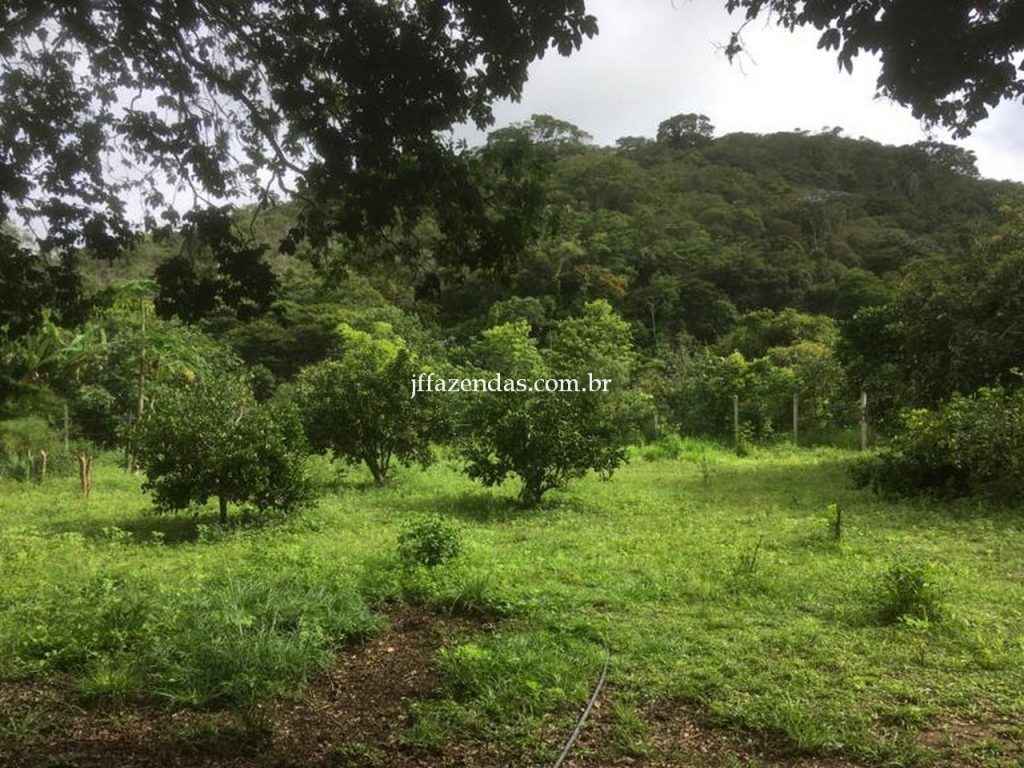 Fazenda em Mar de Espanha/MG – 87 hectares Fazenda em Mar de Espanha/MG – 87 hectares