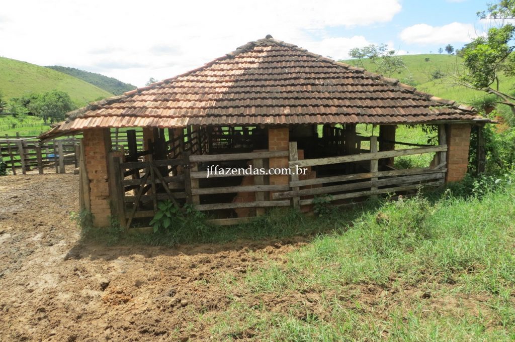 Fazenda em Piau/MG com 156,47.93 hectares Fazenda em Piau/MG com 156,47.93 hectares