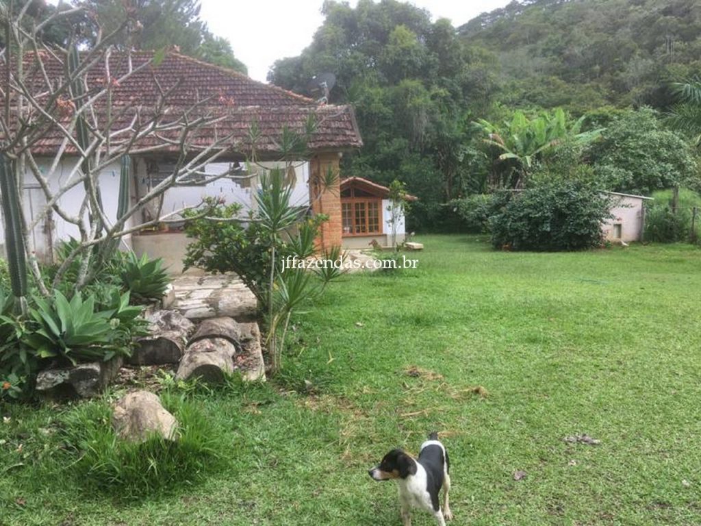 Fazenda em Mar de Espanha/MG – 87 hectares Fazenda em Mar de Espanha/MG – 87 hectares