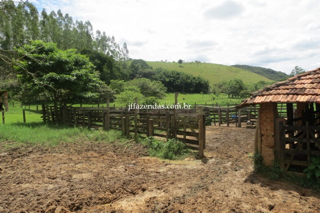 Fazenda em Piau/MG com 156,47.93 hectares Fazenda em Piau/MG com 156,47.93 hectares