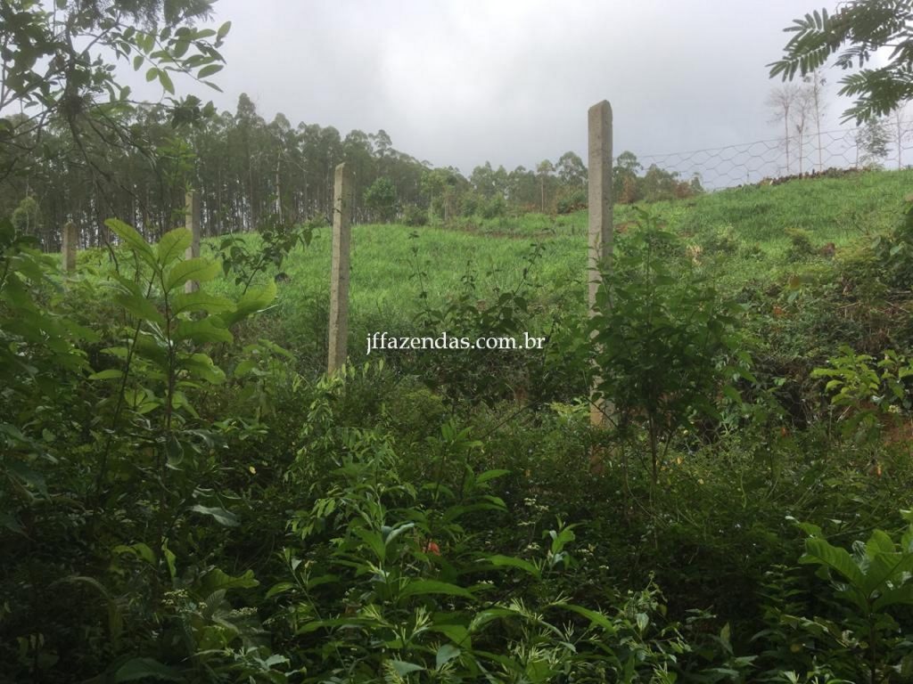 Fazenda em Mar de Espanha/MG – 87 hectares Fazenda em Mar de Espanha/MG – 87 hectares