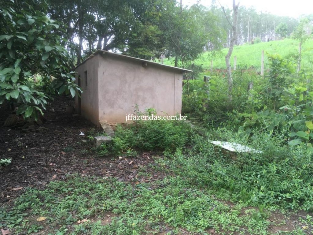 Fazenda em Mar de Espanha/MG – 87 hectares Fazenda em Mar de Espanha/MG – 87 hectares