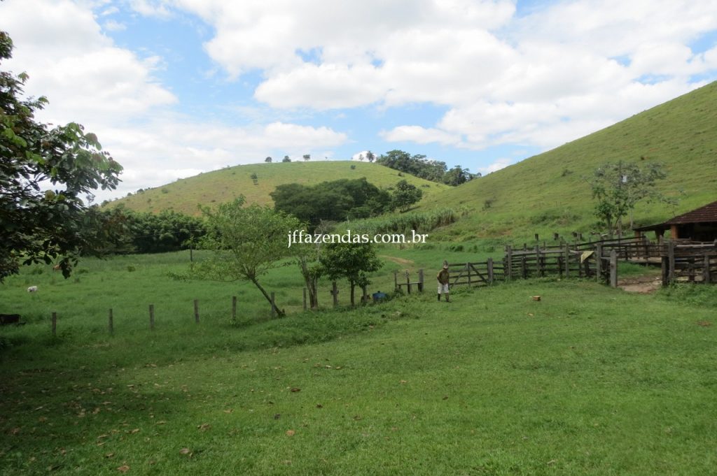 Fazenda em Piau/MG com 156,47.93 hectares Fazenda em Piau/MG com 156,47.93 hectares