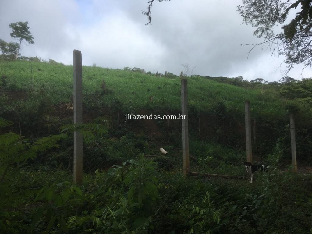 Fazenda em Mar de Espanha/MG – 87 hectares Fazenda em Mar de Espanha/MG – 87 hectares