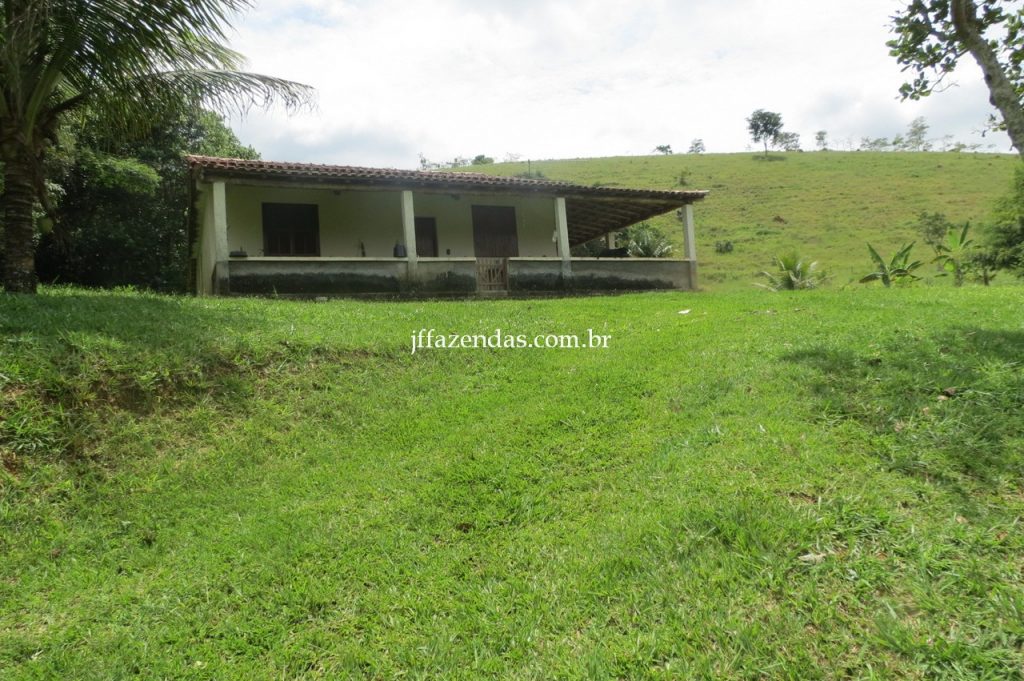 Fazenda em Piau/MG com 156,47.93 hectares Fazenda em Piau/MG com 156,47.93 hectares
