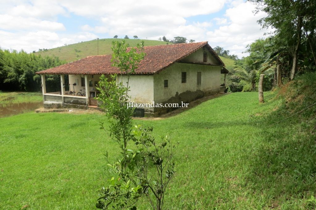 Fazenda em Piau/MG com 156,47.93 hectares Fazenda em Piau/MG com 156,47.93 hectares