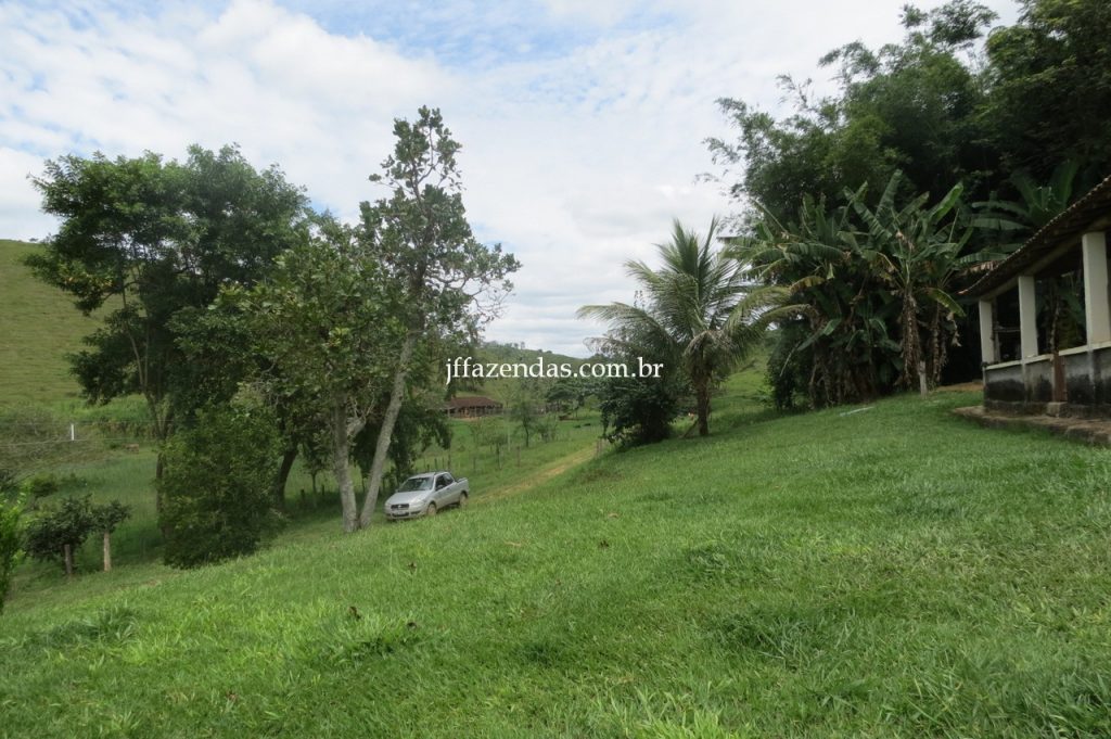 Fazenda em Piau/MG com 156,47.93 hectares Fazenda em Piau/MG com 156,47.93 hectares