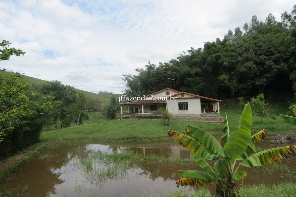 Fazenda em Piau/MG com 156,47.93 hectares Fazenda em Piau/MG com 156,47.93 hectares