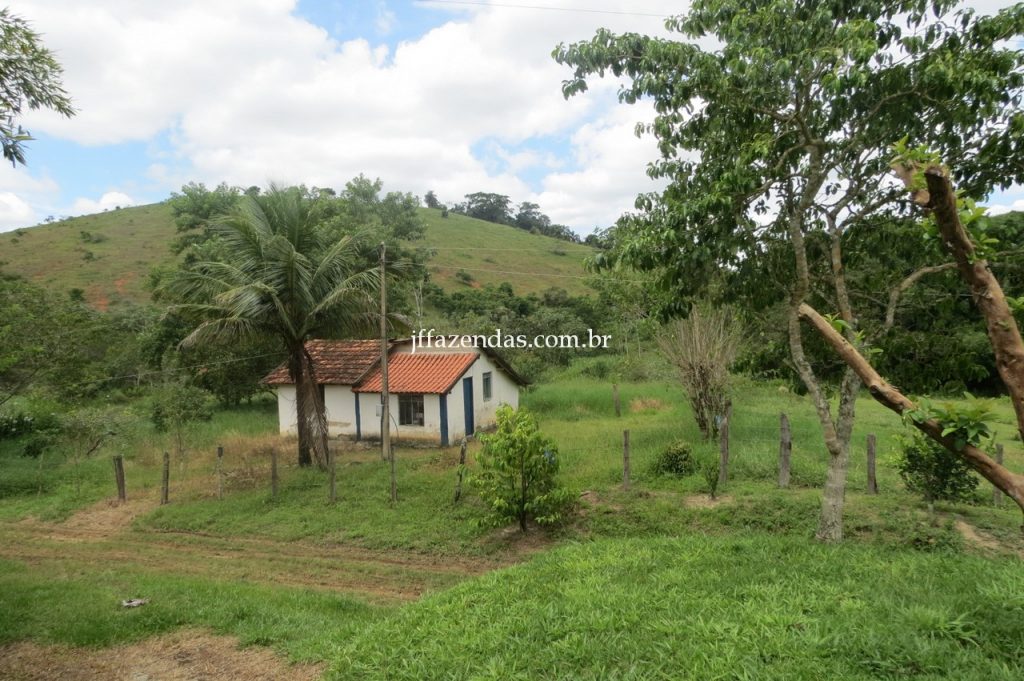 Fazenda em Piau/MG com 156,47.93 hectares Fazenda em Piau/MG com 156,47.93 hectares