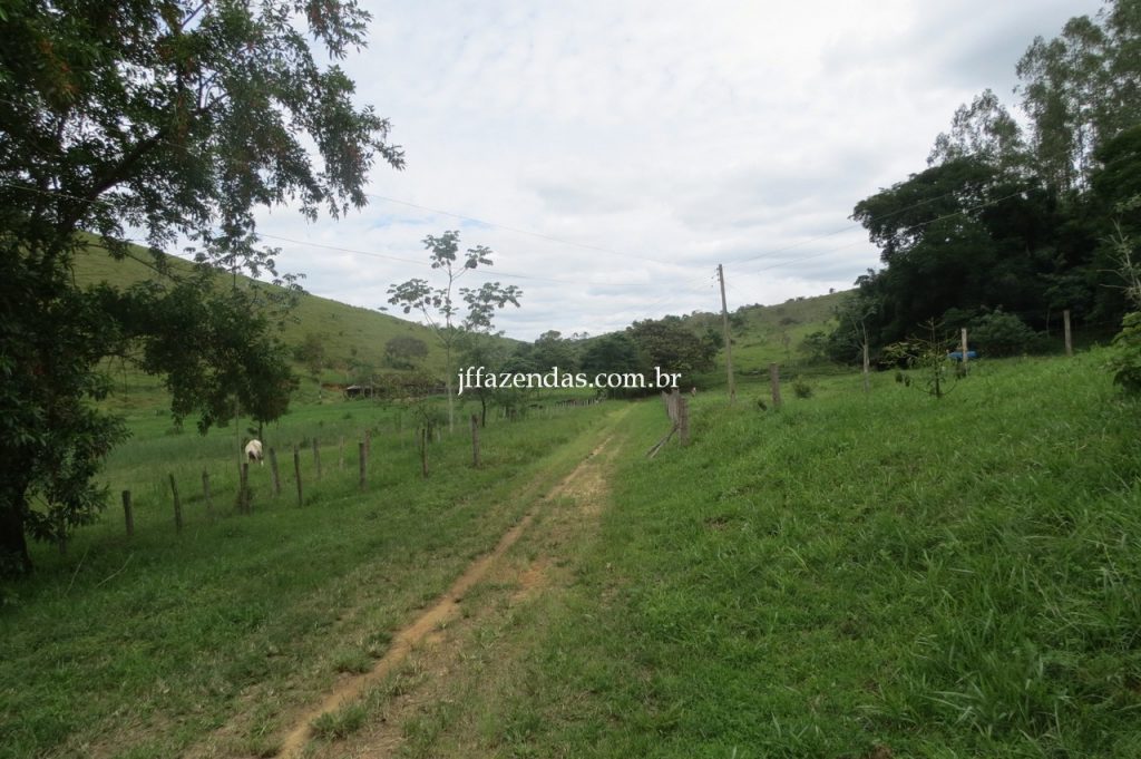 Fazenda em Piau/MG com 156,47.93 hectares Fazenda em Piau/MG com 156,47.93 hectares