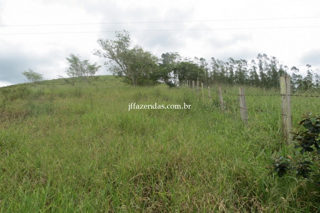 Fazenda em Piau/MG com 156,47.93 hectares Fazenda em Piau/MG com 156,47.93 hectares