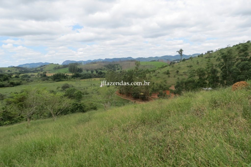 Fazenda em Piau/MG com 156,47.93 hectares Fazenda em Piau/MG com 156,47.93 hectares