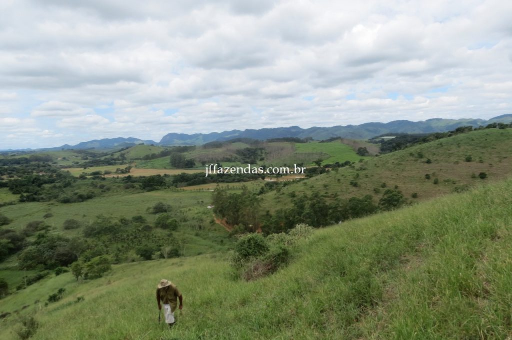 Fazenda em Piau/MG com 156,47.93 hectares Fazenda em Piau/MG com 156,47.93 hectares