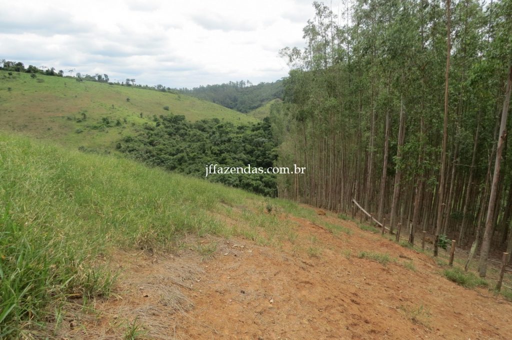 Fazenda em Piau/MG com 156,47.93 hectares Fazenda em Piau/MG com 156,47.93 hectares