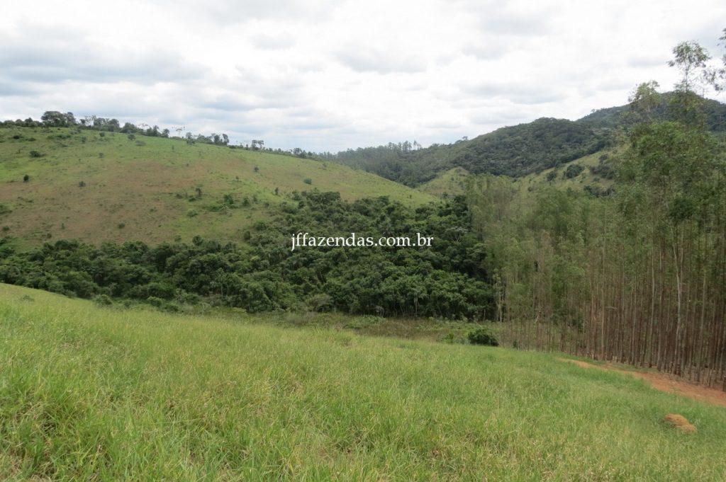 Fazenda em Piau/MG com 156,47.93 hectares Fazenda em Piau/MG com 156,47.93 hectares