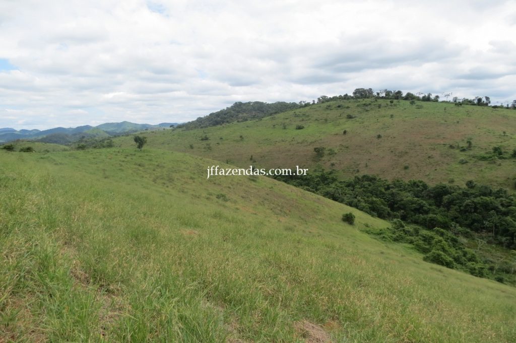 Fazenda em Piau/MG com 156,47.93 hectares Fazenda em Piau/MG com 156,47.93 hectares