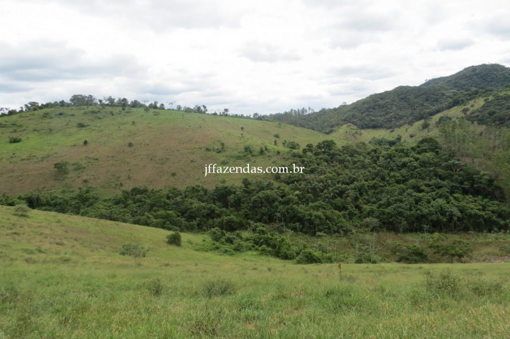 Fazenda em Piau/MG com 156,47.93 hectares Fazenda em Piau/MG com 156,47.93 hectares